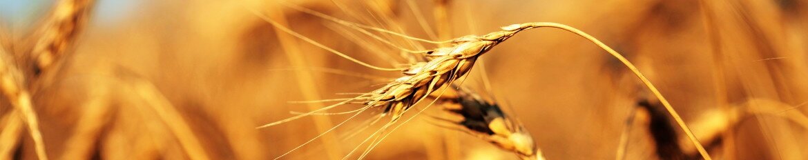 Vinaora Nivo Slider 3.x