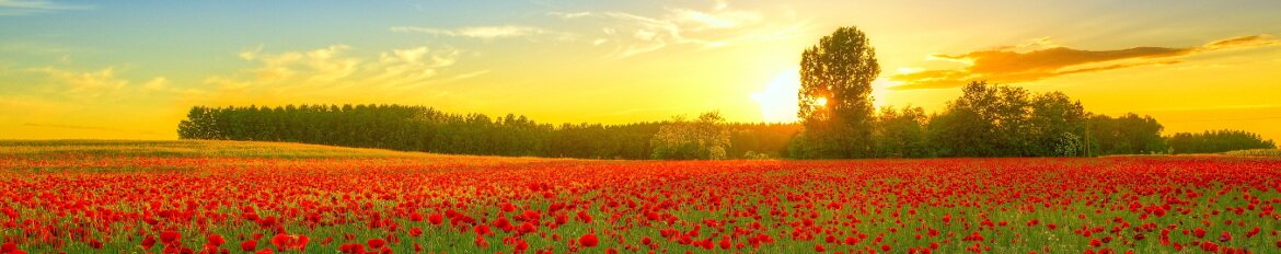 Vinaora Nivo Slider 3.x