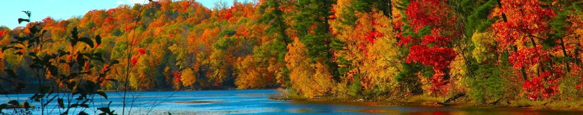 Vinaora Nivo Slider 3.x